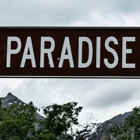 Meet your Posher, Billie - Picture 1 of 1